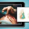 QMP e Learning Program – plastic surgery - 170  hours of lecture/presentation and operative video.